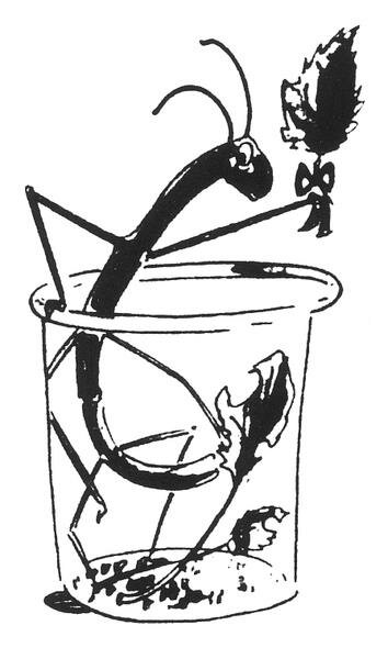 Phasma - 3rd logo.