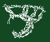 Phasmid Study Group